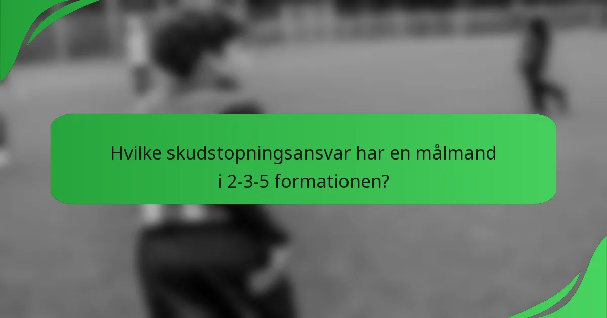 Hvilke skudstopningsansvar har en målmand i 2-3-5 formationen?